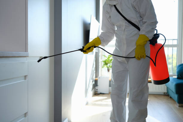 Best HVAC Mold Remediation in Lockport Heights, LA